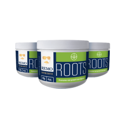 Remo Roots