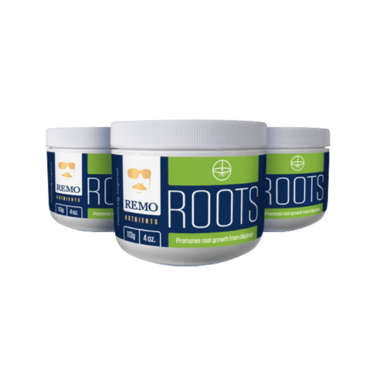 Remo Roots