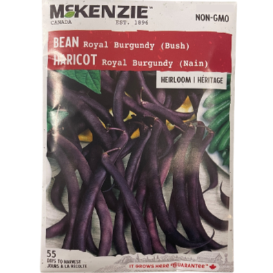 McKenzie Seed Bean Royal Burgundy Bush Pkg