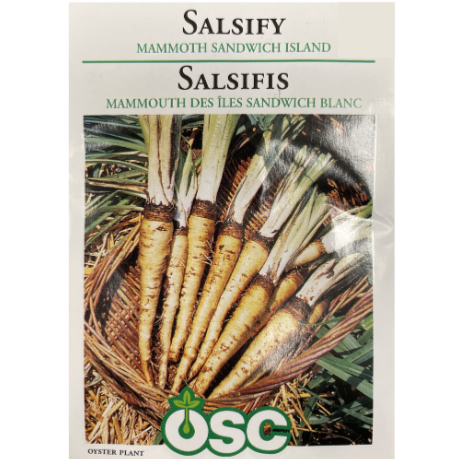 OSC Seeds Salsify Mammoth Sandwich Island Pkg.