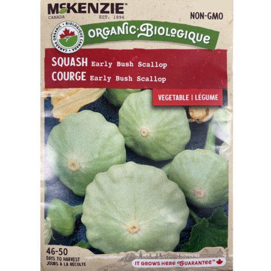 McKenzie Organic Seeds Squash Early Bush Pkg