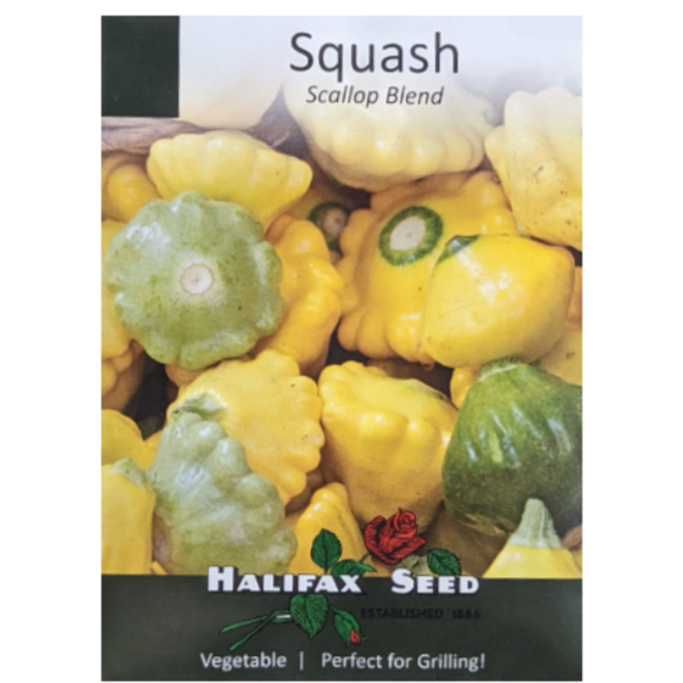 Halifax Seed Squash Scallop Blend