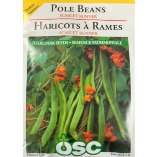 OSC Seeds Bean Pole Scarlet Runner Pkg