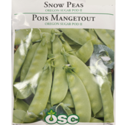 OSC Seeds Pea Snow Oregon Sugar Pod II