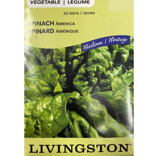 Livingston Seeds Spinach America Pkg
