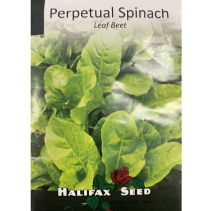 Halifax Seed Spinach Perpetual Leaf Beet Pkg.