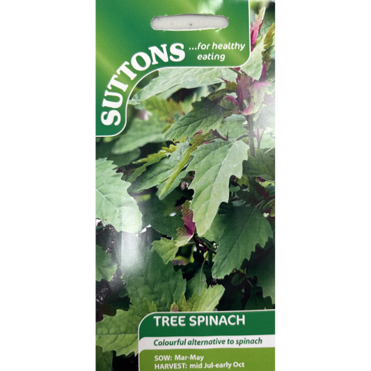 Suttons Seed Spinach Tree Spinach