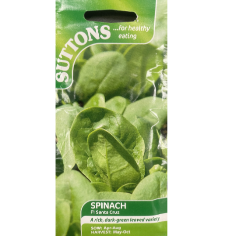 Suttons Seed Spinach F1 Santa Cruz