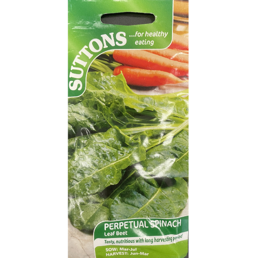 Suttons Seed Perpetual Spinach Leaf Beet