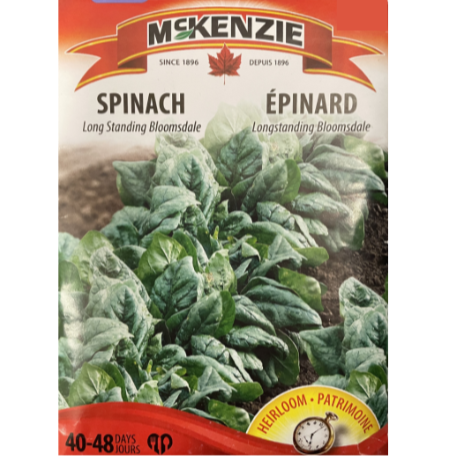 McKenzie Seeds Spinach Long Standing Bloomsdale Pkg