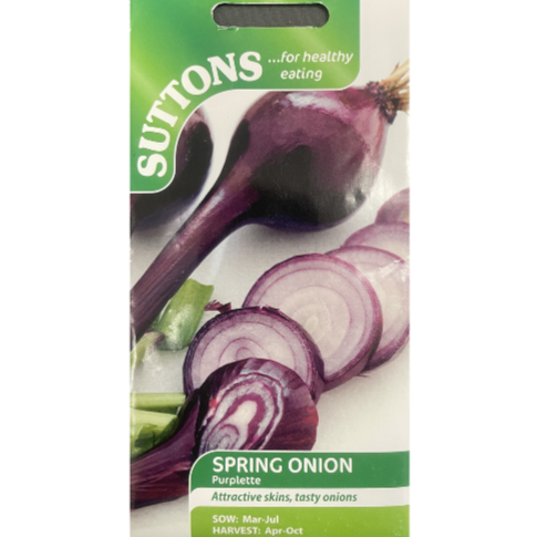 Suttons Seed Spring Onion Purplette