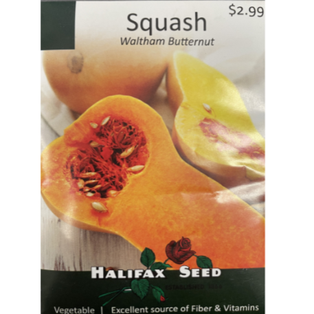Halifax Seed Squash Waltham Butternut