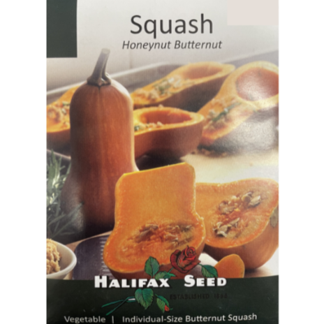 Halifax Seed Squash Honeynut Butternut