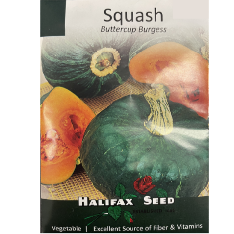 Halifax Seed Squash Buttercup Burgess