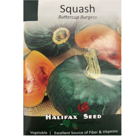 Halifax Seed Squash Buttercup Burgess Pkg.