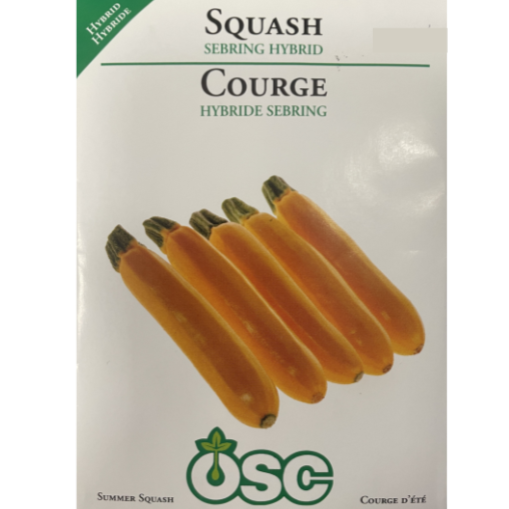 OSC Seeds Squash Sebring Hybrid Pkg