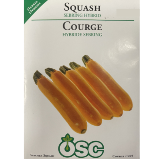 OSC Seeds Squash Sebring Hybrid Pkg.
