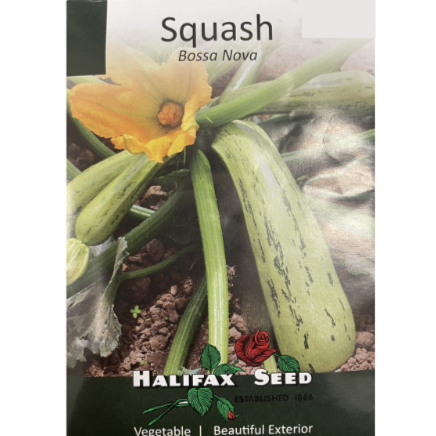Halifax Seed Squash Bossa Nova