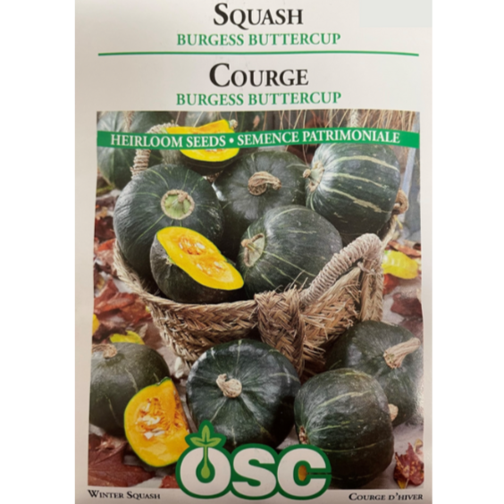 OSC Seeds Squash Burgess Buttercup Pkg