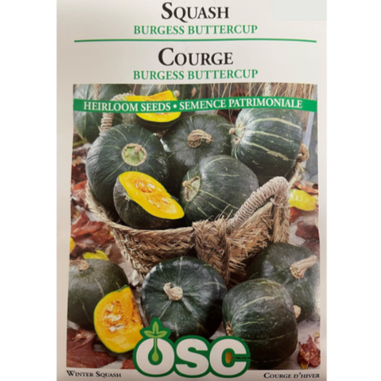 OSC Seeds Squash Burgess Buttercup Pkg.