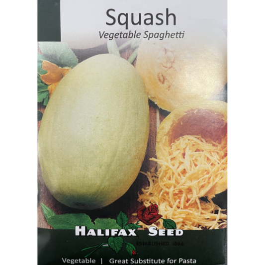 Halifax Seed Squash Vegetable Spaghetti