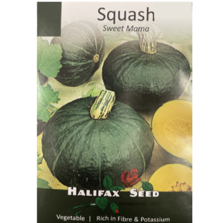Halifax Seed Squash Sweet Mama