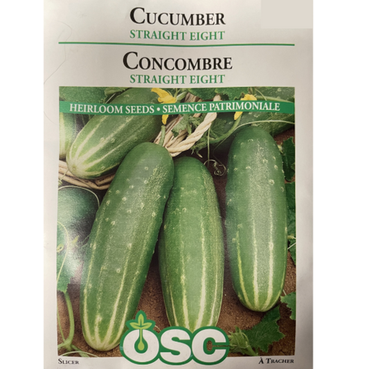 OSC Seeds Cucumber Straight Eight Pkg