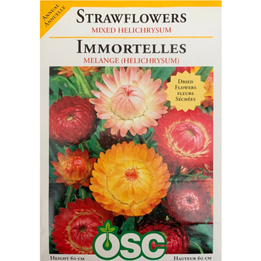 OSC Seeds Strawflowers Mixed Helichrysum Pkg.