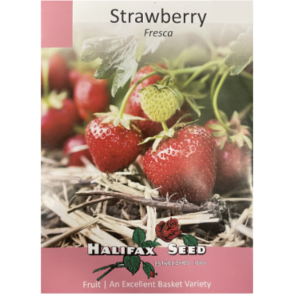 Halifax Seed Strawberry Fresca