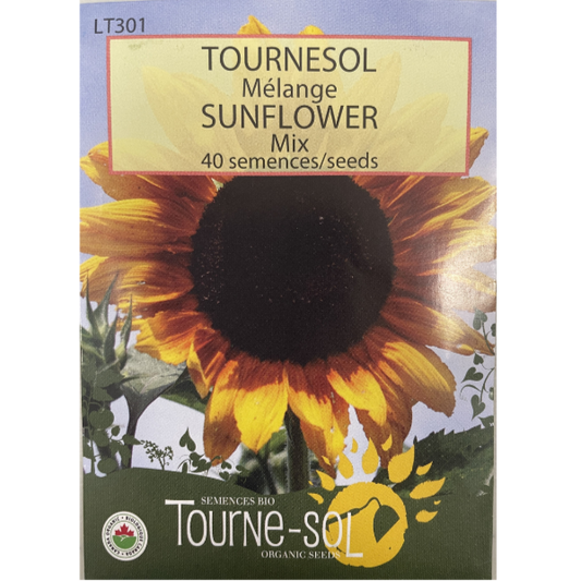Tourne-Sol Sunflowers Pkg
