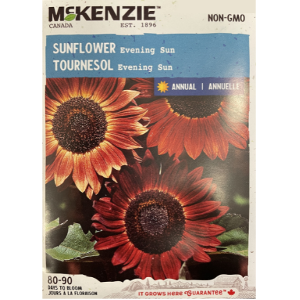 McKenzie Seed Sunflower Evening Sun Pkg