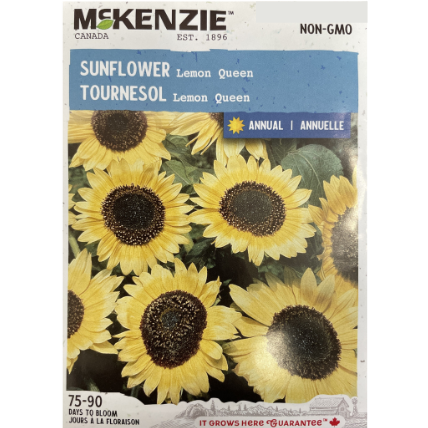 McKenzie Seed Sunflower Lemon Queen Pkg