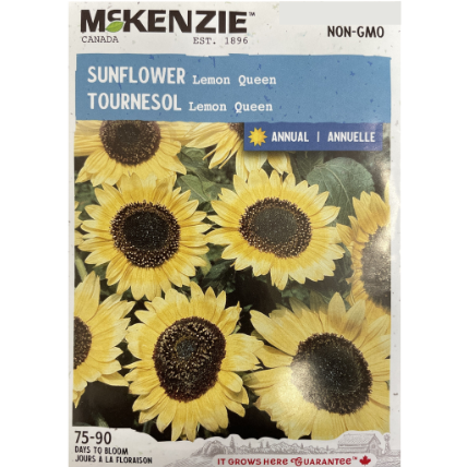 McKenzie Seed Sunflower Lemon Queen Pkg.