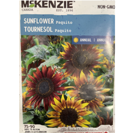 McKenzie Seed Sunflower Paquito Pkg