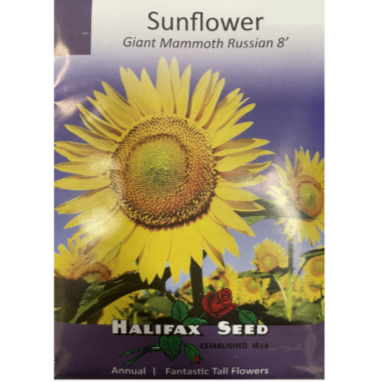 Halifax Seed Sunflower Giant Mammoth Russian Pkg