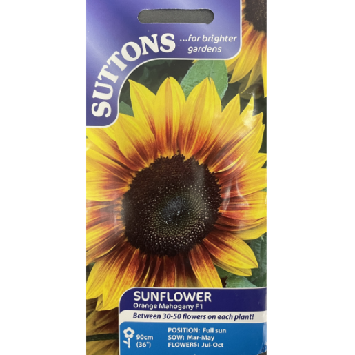 Suttons Seed Sunflower Orange Mahogany F1