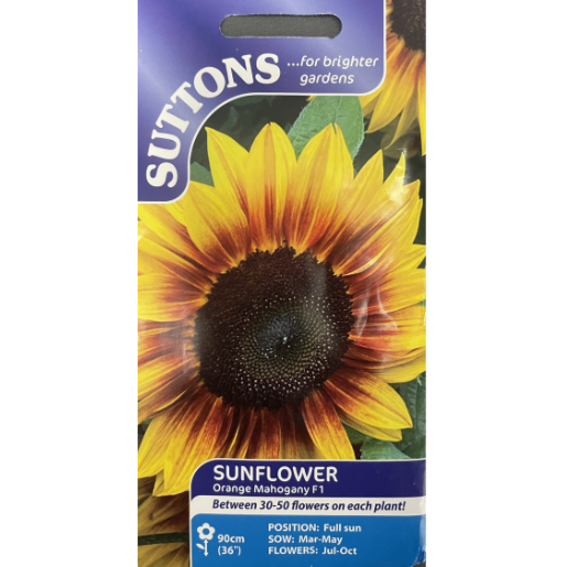 Suttons Seed Sunflower Orange Mahogany F1 Pkg.