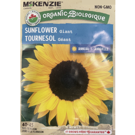 McKenzie Seed Organic Sunflower Giant Pkg