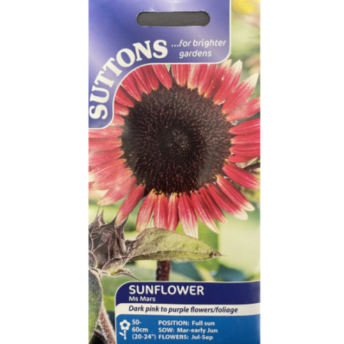 Suttons Seed Sunflower Ms Mars