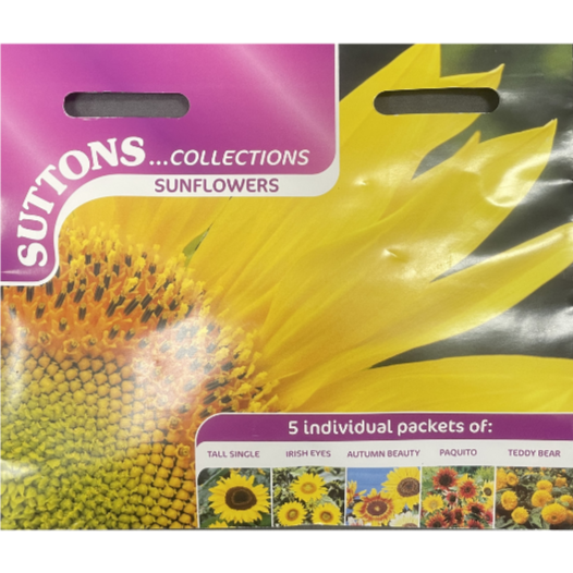 Suttons Seed Sunflower Collection