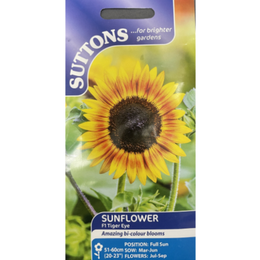 Suttons Seed Sunflower F1 Tiger Eye