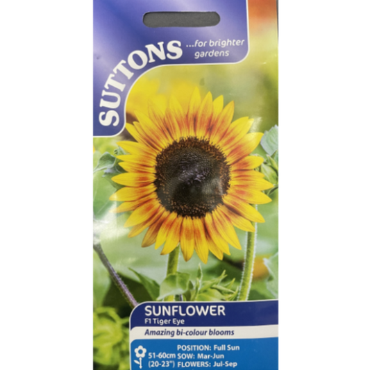 Suttons Seed Sunflower F1 Tiger Eye Pkg.