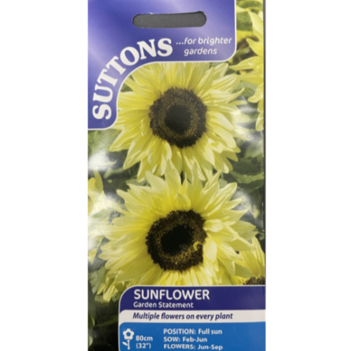 Suttons Seed Sunflower Garden Statement