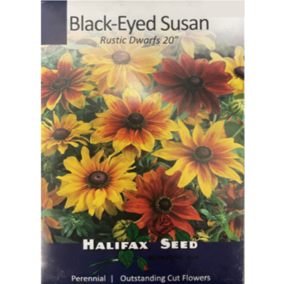 Halifax Seed Black Eyed Susan Rustic Dwarf