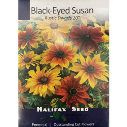 Halifax Seed Black Eyed Susan Rustic Dwarf Pkg.