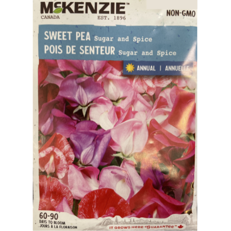 McKenzie Seed Sweet Pea Sugar And Spice Pkg