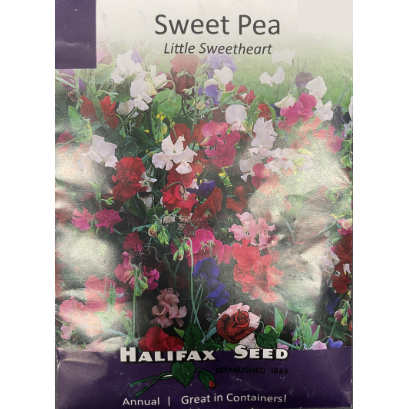 Halifax Seed Sweet Pea Little Sweetheart