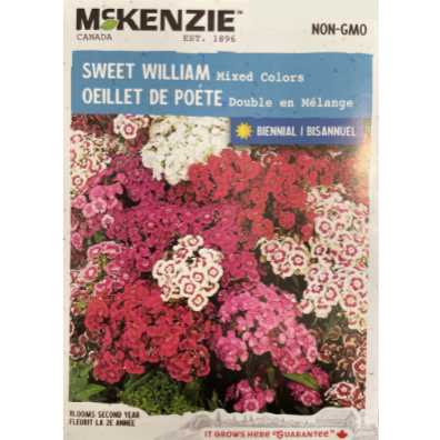 McKenzie Seed Sweet William Mixed Colours Pkg.