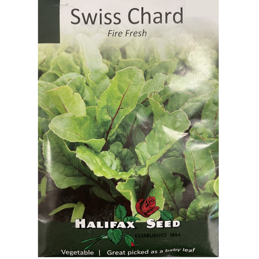 Halifax Seed Swiss Chard Fire Fresh