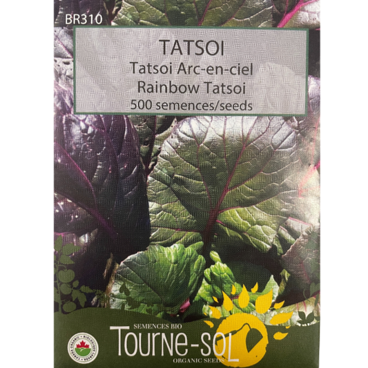 Tourne-Sol Tatsoi Rainbow Pkg